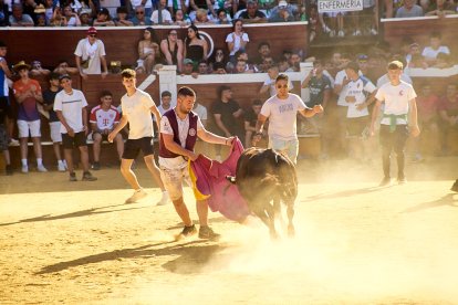 Las vaquillas tras recoger a los toros de La Saca prolongan el ambiente en el coso de San Benito.