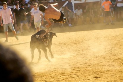 Las vaquillas tras recoger a los toros de La Saca prolongan el ambiente en el coso de San Benito.