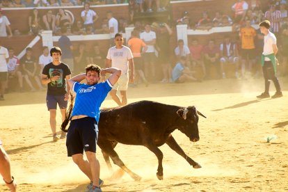 Las vaquillas tras recoger a los toros de La Saca prolongan el ambiente en el coso de San Benito.