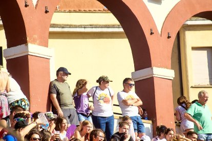 Las vaquillas tras recoger a los toros de La Saca prolongan el ambiente en el coso de San Benito.