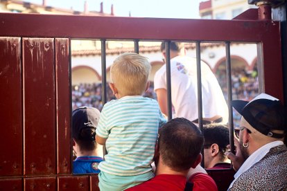 Las vaquillas tras recoger a los toros de La Saca prolongan el ambiente en el coso de San Benito.