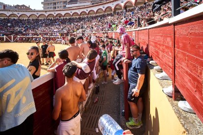 Las vaquillas tras recoger a los toros de La Saca prolongan el ambiente en el coso de San Benito.