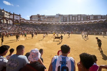 Las vaquillas tras recoger a los toros de La Saca prolongan el ambiente en el coso de San Benito.