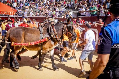 La fiesta duró en la Plaza de Toros y alrededores hasta bien entrada la tarde