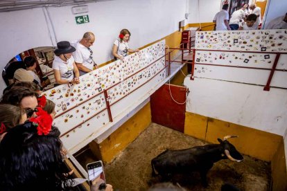 La fiesta duró en la Plaza de Toros y alrededores hasta bien entrada la tarde