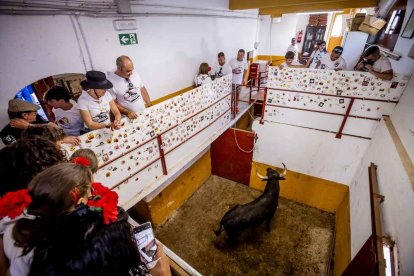 La fiesta duró en la Plaza de Toros y alrededores hasta bien entrada la tarde