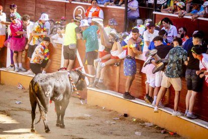 La fiesta duró en la Plaza de Toros y alrededores hasta bien entrada la tarde