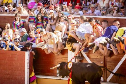 La fiesta duró en la Plaza de Toros y alrededores hasta bien entrada la tarde