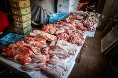 Abran bien los ojos y vean, señores, qué hermosos despojos voy a subastar.