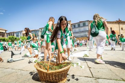El acto se celebra antes de la tradicional bajada a las Bailas que finaliza los Sanjuanes