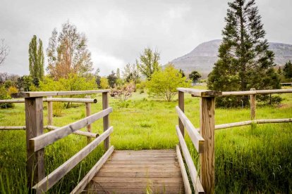 Un espacio con una riqueza forestal fascinante