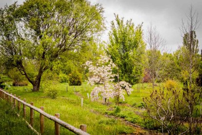 Un espacio con una riqueza forestal fascinante
