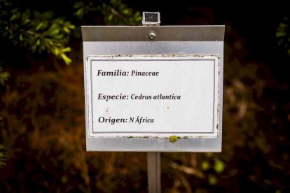 Un espacio con una riqueza forestal fascinante