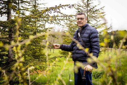 Un espacio con una riqueza forestal fascinante