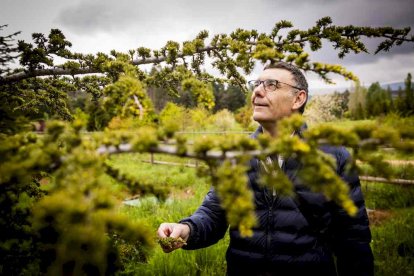 Un espacio con una riqueza forestal fascinante