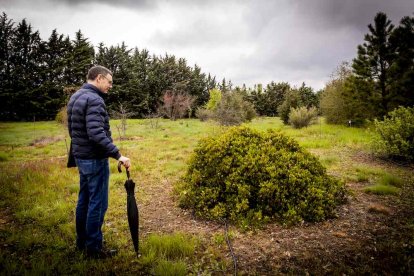Un espacio con una riqueza forestal fascinante
