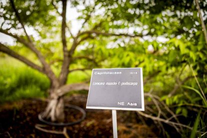 Un espacio con una riqueza forestal fascinante