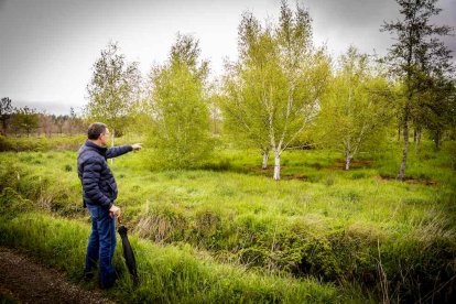 Un espacio con una riqueza forestal fascinante