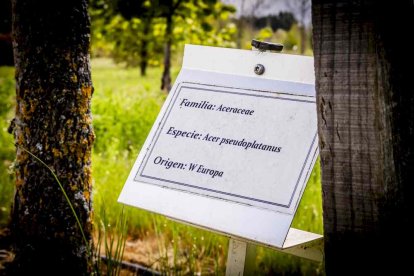 Un espacio con una riqueza forestal fascinante