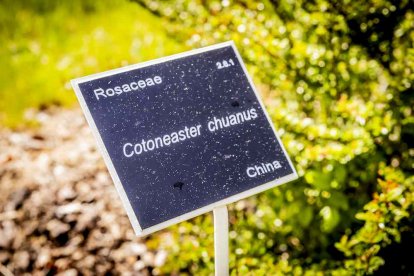 Un espacio con una riqueza forestal fascinante