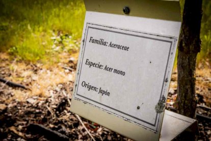 Un espacio con una riqueza forestal fascinante
