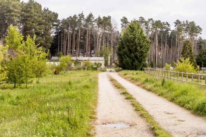 Un espacio con una riqueza forestal fascinante