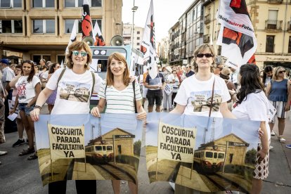Continuas consignas contra la sucesiva desaparición de los recorridos del tren soriano