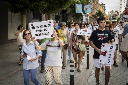 Continuas consignas contra la sucesiva desaparición de los recorridos del tren soriano