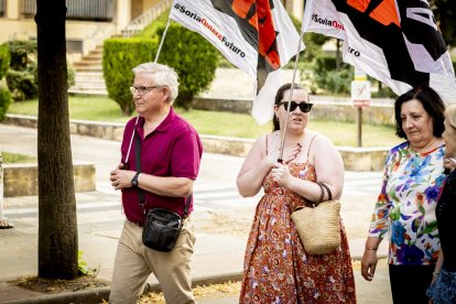 Continuas consignas contra la sucesiva desaparición de los recorridos del tren soriano