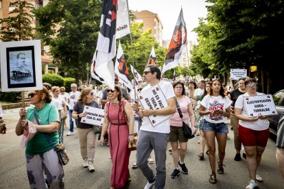 Continuas consignas contra la sucesiva desaparición de los recorridos del tren soriano