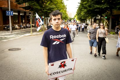 Continuas consignas contra la sucesiva desaparición de los recorridos del tren soriano