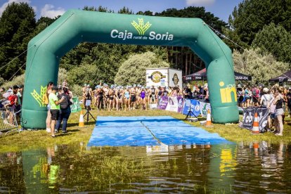 Una mañana perfecta para nadar en el pantano