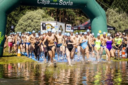 Una mañana perfecta para nadar en el pantano