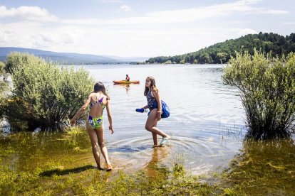 Una mañana perfecta para nadar en el pantano