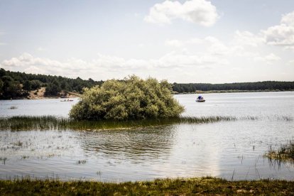 Una mañana perfecta para nadar en el pantano