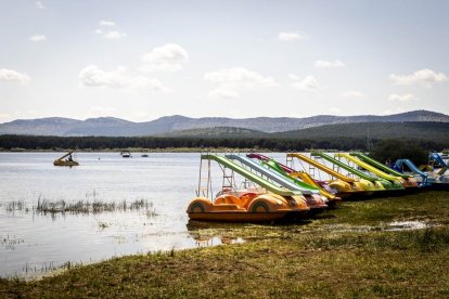 Una mañana perfecta para nadar en el pantano