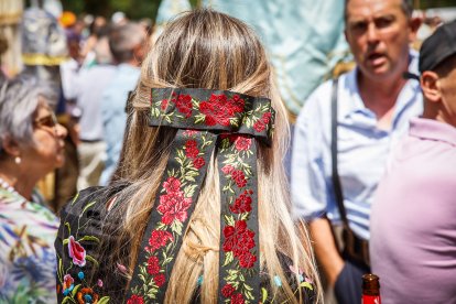 La Blanca reúne a cientos de peregrinos en la romería de Cabrejas del Pinar.