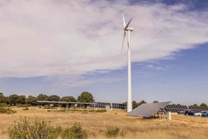En las instalaciones se desarrollan diversos proyectos tecnológicos