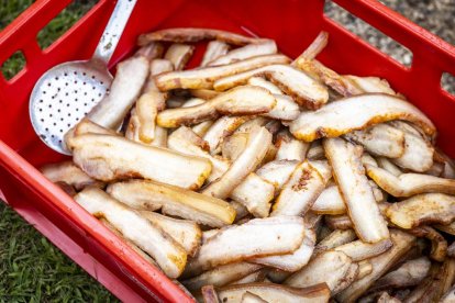 Los vecinos están pasando un fin de semana muy animado