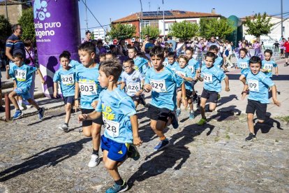 Más de medio millar de atletas de todas las edades tomaron la salida