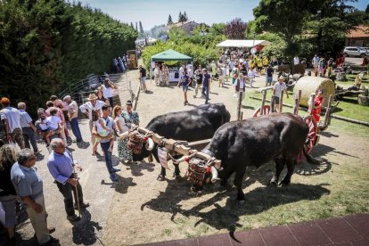 Una jornada para disfrutar en familia