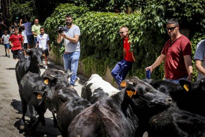 Una jornada para disfrutar en familia