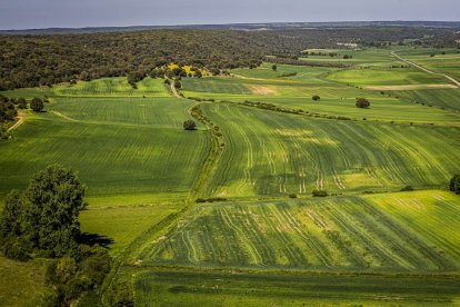 Un pueblo medieval con rincones que no puedes perderte