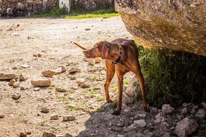 Un pueblo medieval con rincones que no puedes perderte