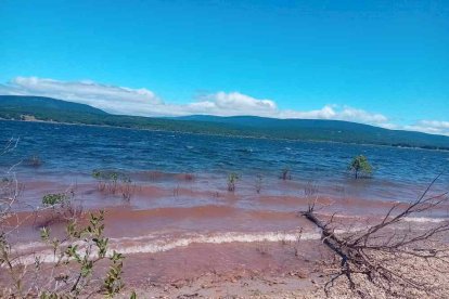 La mañana era fresca y hacía viento en el lugar