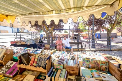 Berlanga de Duero pone el mejor marco posible al Mercado Medieval, una iniciativa que recuerda el pasado de la localidad.