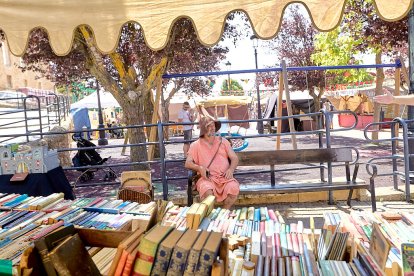 Berlanga de Duero pone el mejor marco posible al Mercado Medieval, una iniciativa que recuerda el pasado de la localidad.