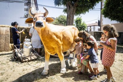 Actividades en torno a este manjar lácteo