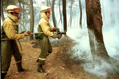 El Incendio de Izana quemó parte de Matamala de Almazán y Tardelcuende