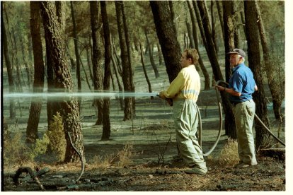 El Incendio de Izana quemó parte de Matamala de Almazán y Tardelcuende